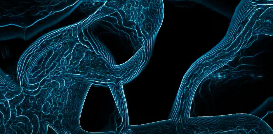 Experimental Media 1